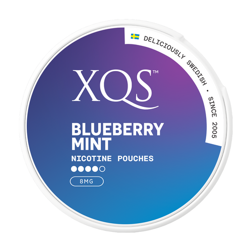 XQS Blueberry Mint| 8mg Nicotine Pouches
