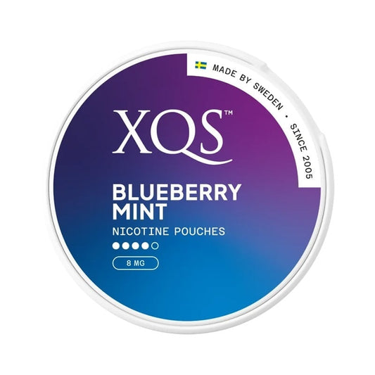 XQS Blueberry Mint| 8mg Nicotine Pouches